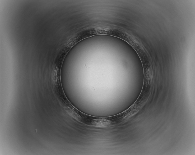 X0000116340463200912091113