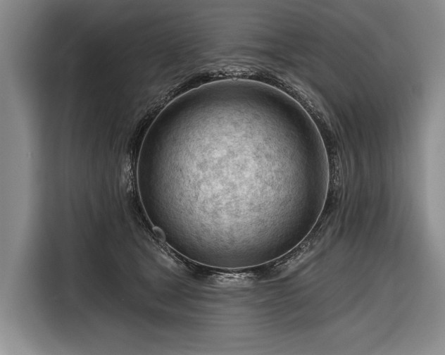 X0000116340465200912091113