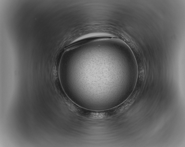 X0000116340469200912091113