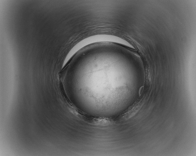 X0000116340475200912091113