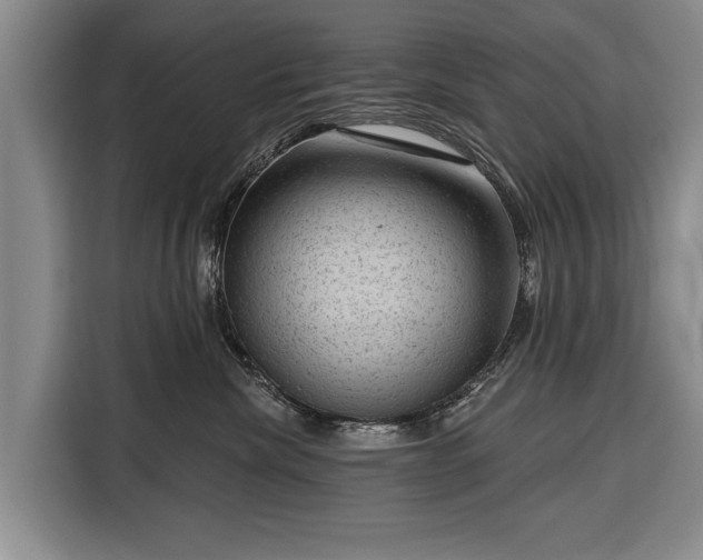 X0000116340476200912091113