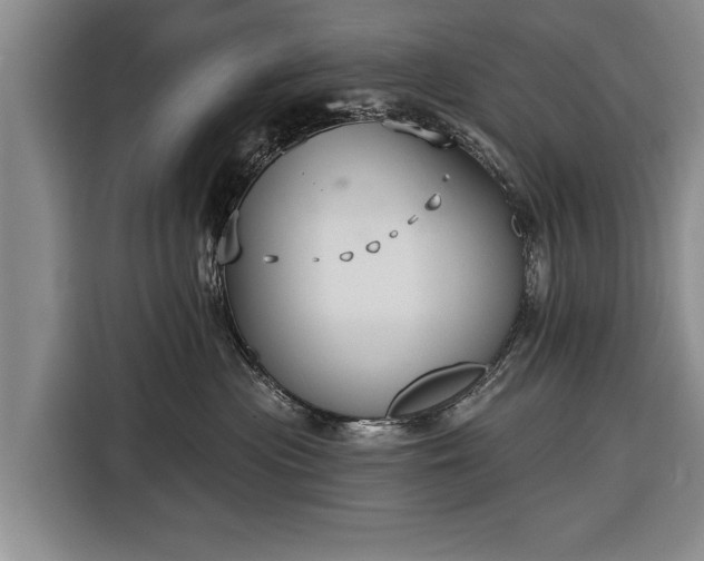 X0000116340477200912091113