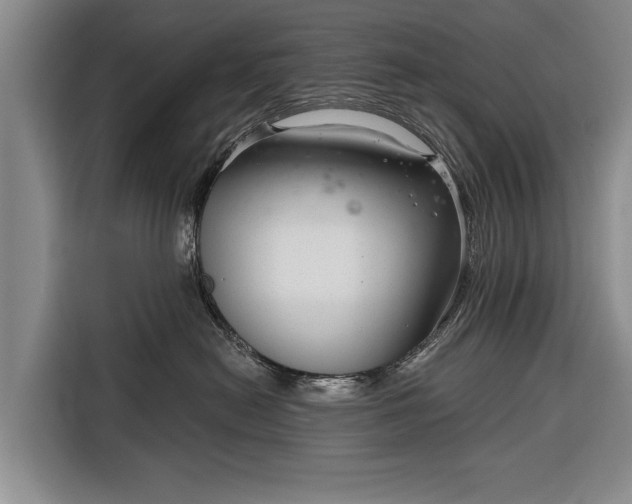 X0000116340478200912091113