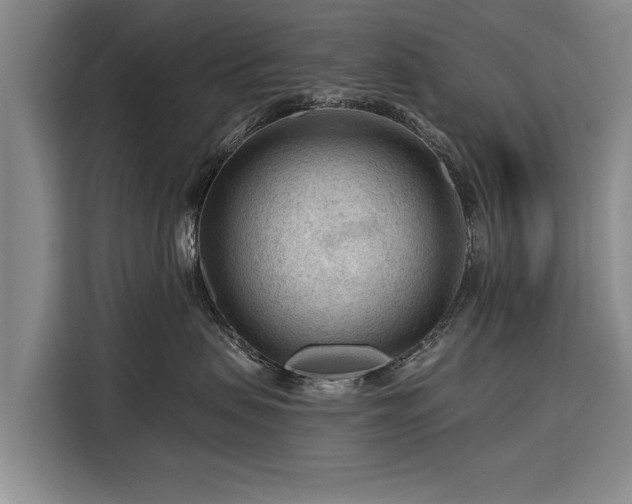 X0000116340479200912091113