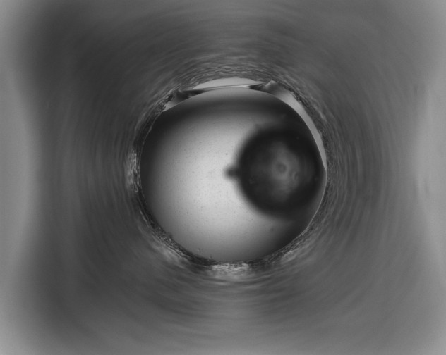 X0000116340480200912091113