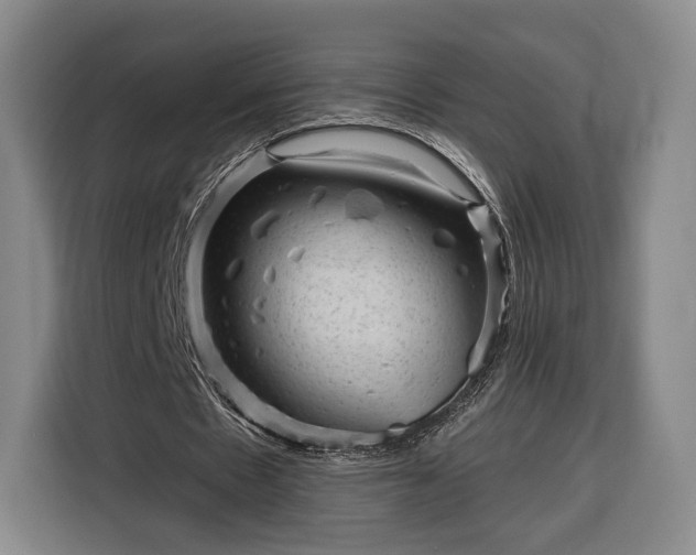 X0000116340481200912091113