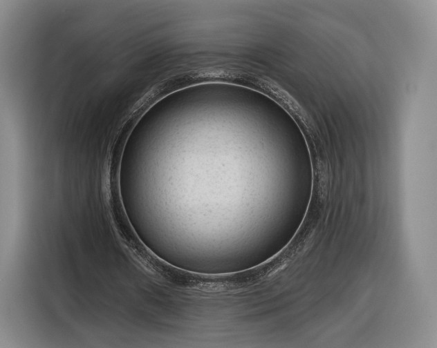 X0000116340482200912091113