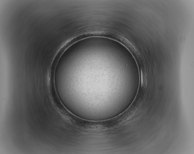 X0000116340483200912091113