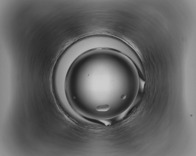 X0000116340485200912091113