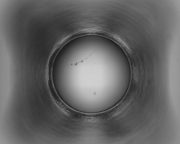 X0000116340486200912091113