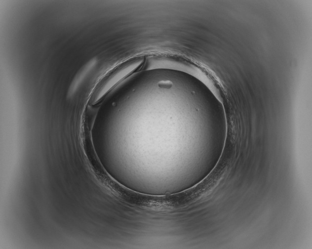 X0000116340487200912091112