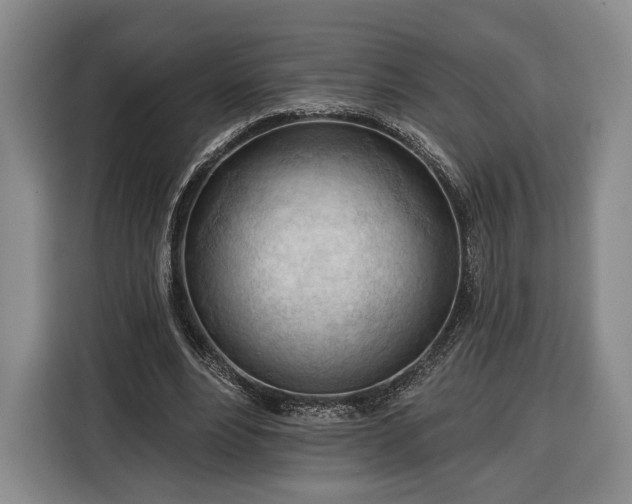 X0000116340488200912091112