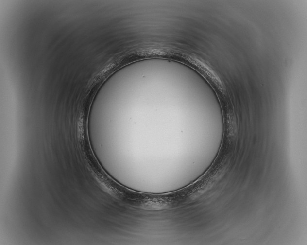 X0000116340489200912091112