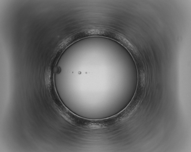 X0000116340490200912091112