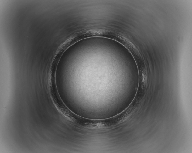 X0000116340492200912091112