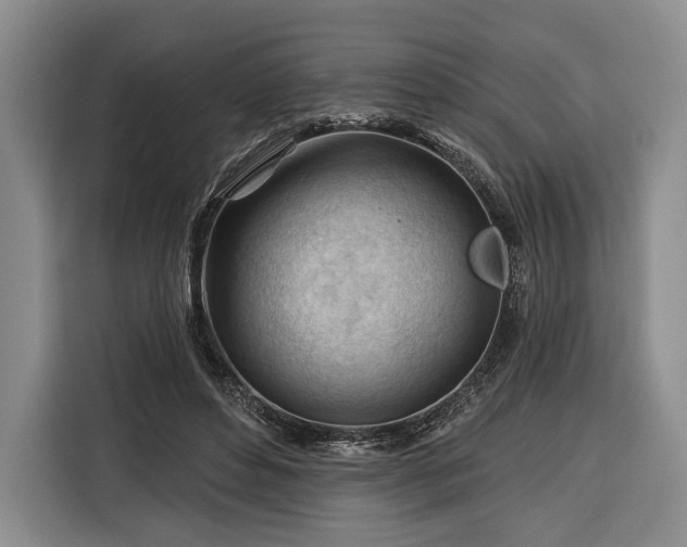 X0000116340496200912091112