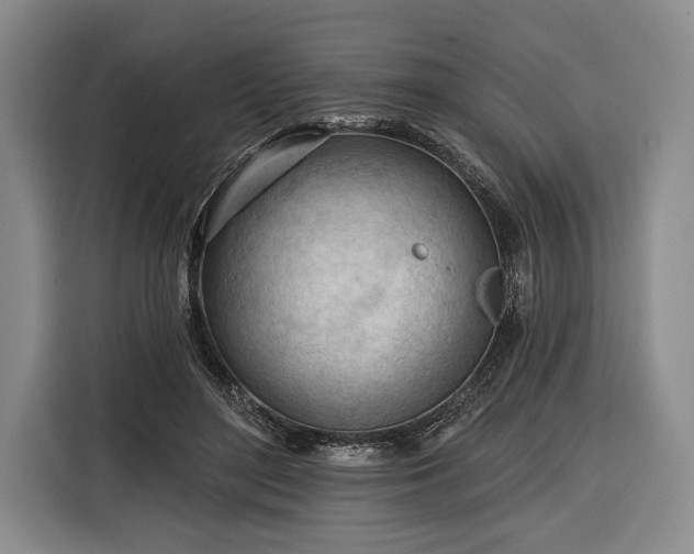 X0000116340500200912091112