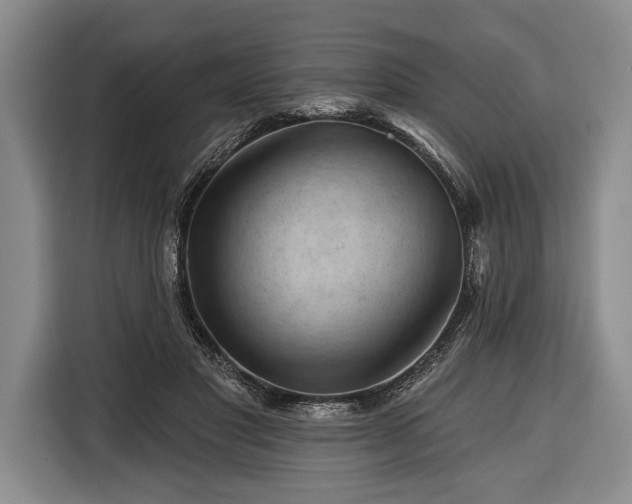 X0000116340501200912091112