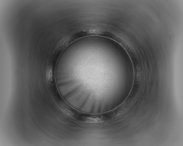 X0000116340502200912091112