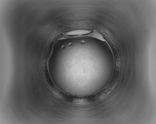 X0000116340503200912091112