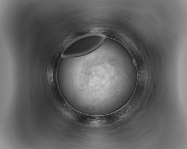 X0000116340504200912091112