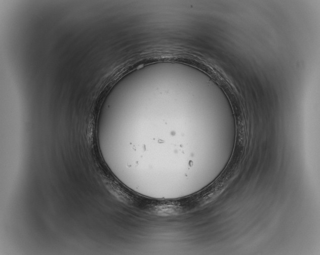 X0000116340505200912091112