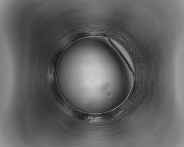 X0000116340507200912091112