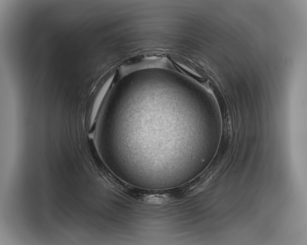 X0000116340508200912091112