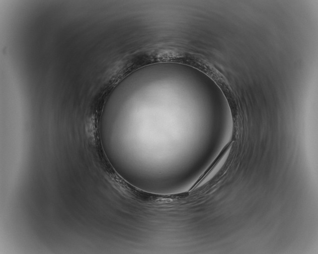 X0000116340519200912091112