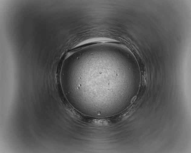 X0000116340520200912091112