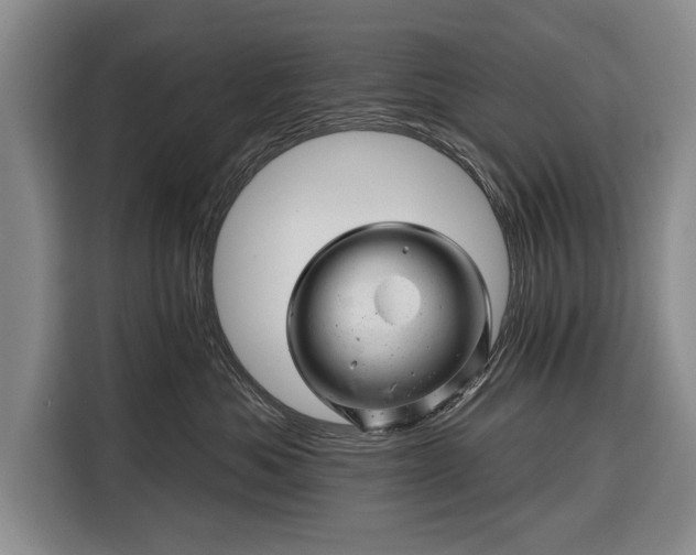 X0000116340525200912091112