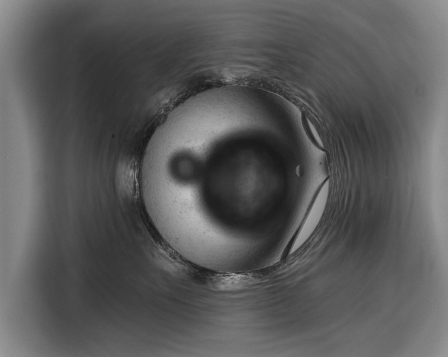 X0000116340527200912091112