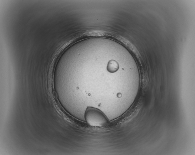 X0000116340529200912091111