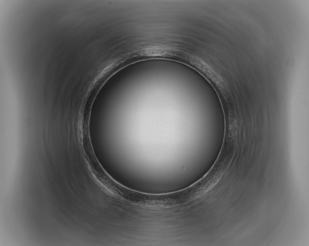 X0000116340530200912091111