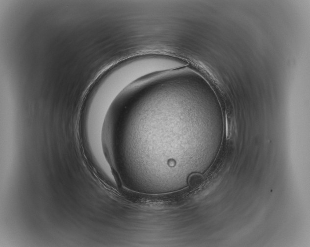 X0000116340531200912091111