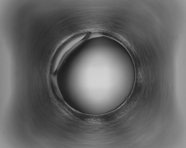 X0000116340535200912091111