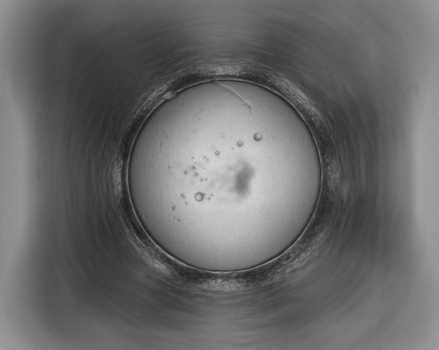 X0000116340537200912091111