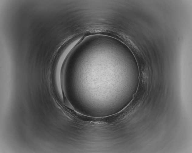 X0000116340539200912091111