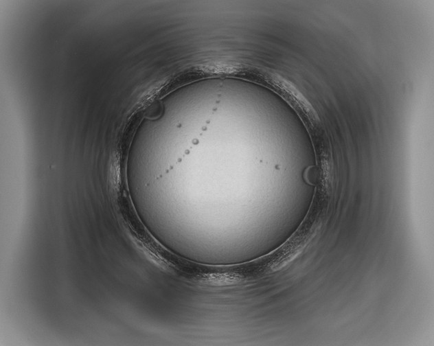 X0000116340541200912091111