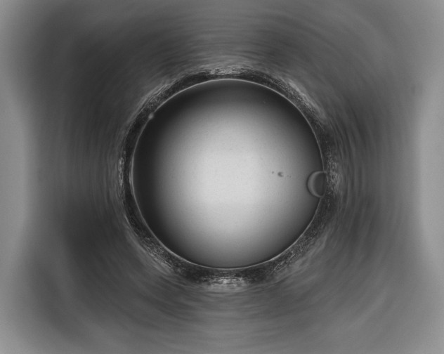 X0000116340543200912091112