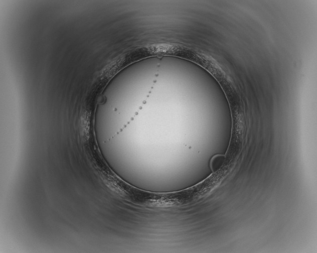 X0000116340545200912091112