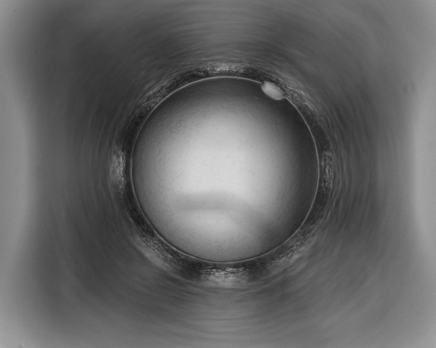 X0000116340550200912091112