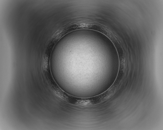 X0000116340554200912091112