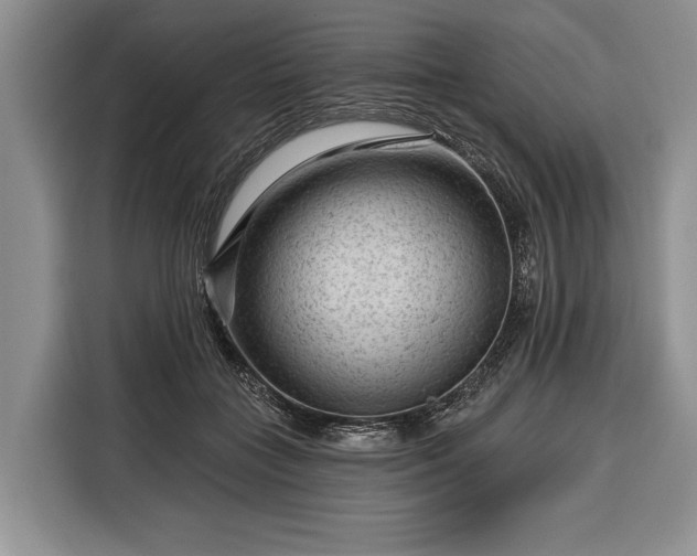 X0000116340555200912091112