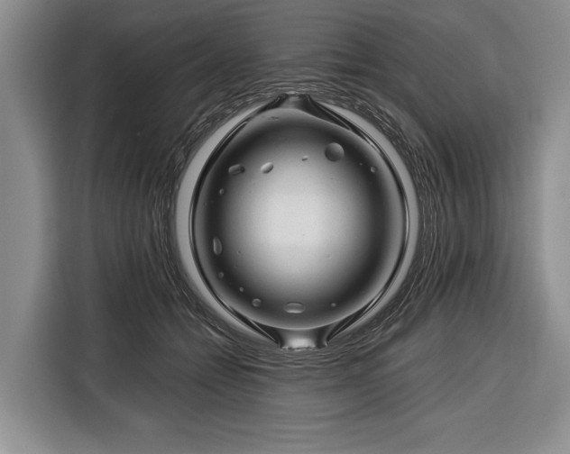 X0000116340558200912091112