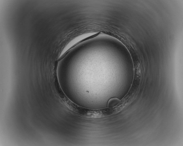 X0000116340559200912091112