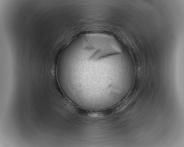 X0000116340561200912091112