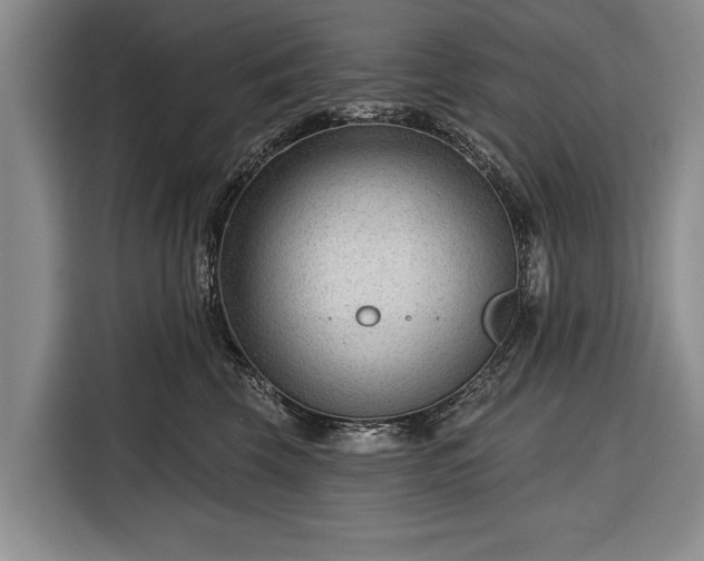 X0000116340569200912091112