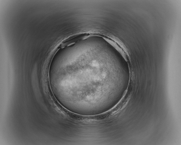 X0000116340577200912091111