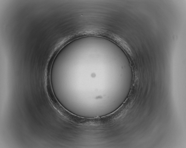 X0000116340578200912091111